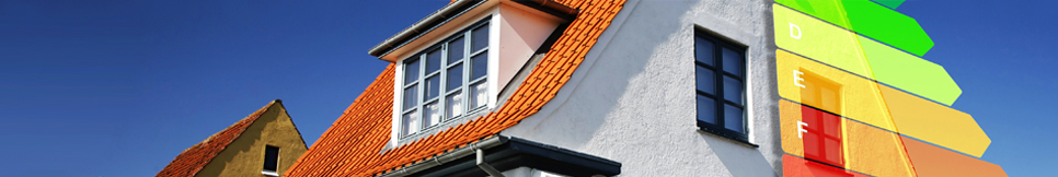 Banner - Wolfgang Traub